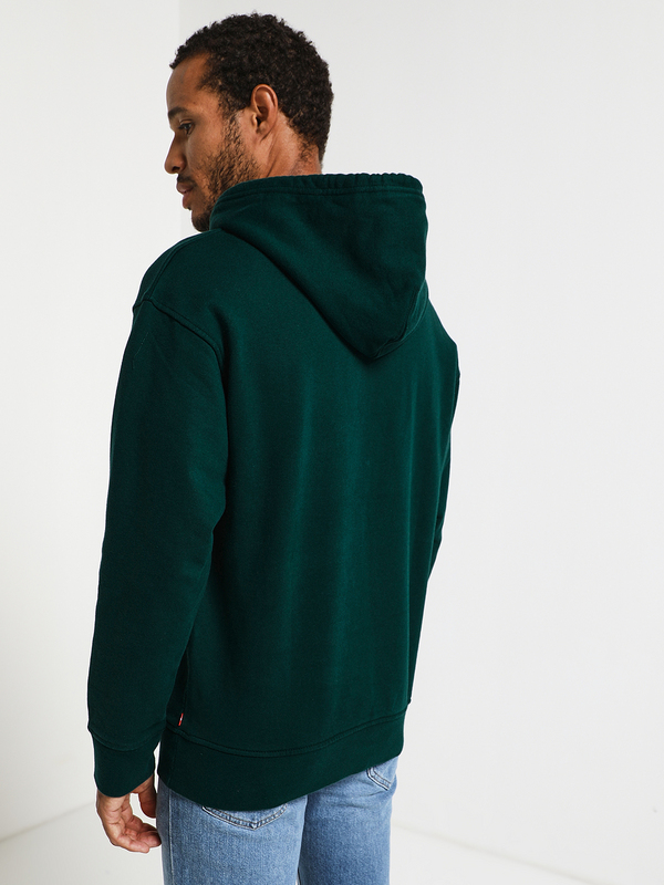 LEVI'S Sweat-shirt Relaxed Graphic Vert Photo principale