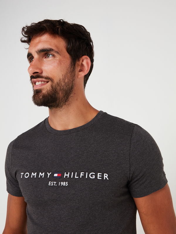 TOMMY HILFIGER Tee-shirt Slim En Coton Bio, Logo Brod Gris Photo principale