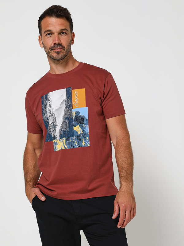 ESPRIT Tee-shirt Paysage Brique 1005012