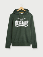 JACK AND JONES Sweat-shirt  Capuche En Molleton, Logo Signature Vert