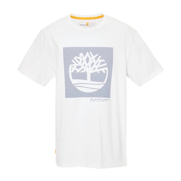 TIMBERLAND Tee Shirt Timberland Ss Graphic Blanc Photo principale