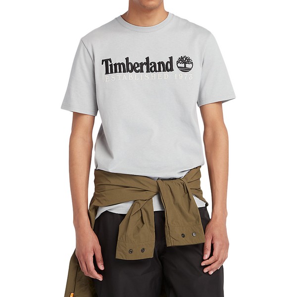 TIMBERLAND Tee-shirt Timberland Embroidery Logo Gris Photo principale
