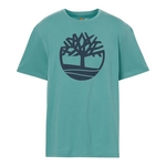 TIMBERLAND Tee Shirt Timberland Ss Brand Reg Vert Clair