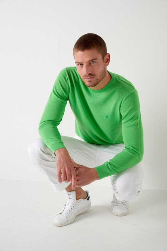 PETER POLO Pull Clark Menthe MENTHE Photo principale