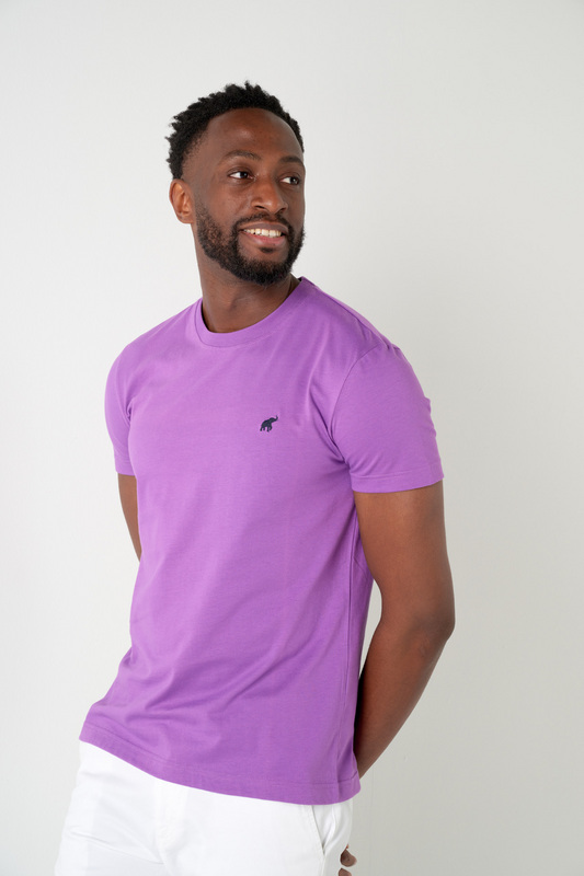 PETER POLO T-shirt New Basic Lilas LILAS 1090312