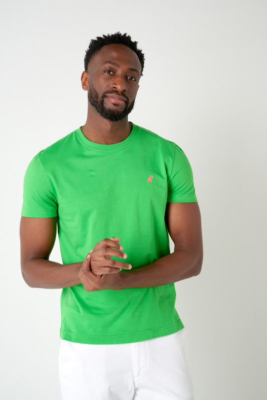 PETER POLO T-shirt New Basic Menthe MENTHE Photo principale
