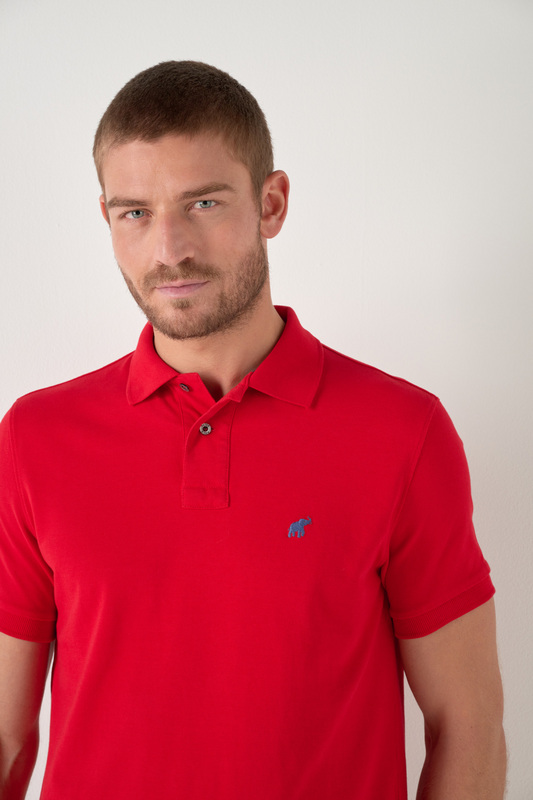 PETER POLO Polo Lover Hermes Rouge herms Photo principale